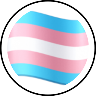 Trans Chat on Snapchat: Fostering Inclusive Spaces in the Digital Realm