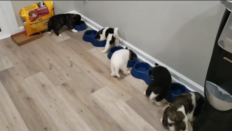 d9553b50-20a7-11ed-b82f-298994930603