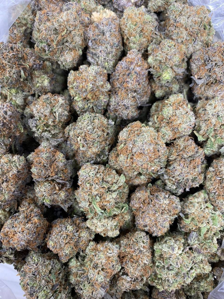 b4589760-2919-11ed-bcac-e5ced4d2da74