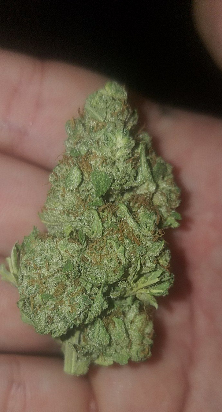 c7086220-2919-11ed-aa28-516c0d8ac55e