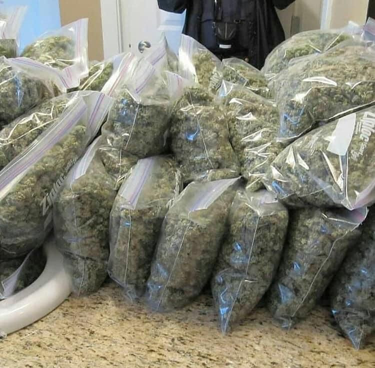 48cf8150-5234-11ed-8b3b-d780bc87cc4b