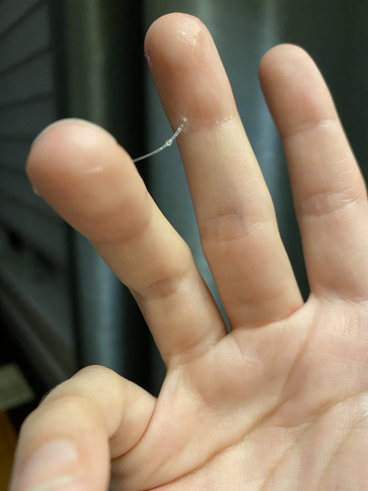 43a45280-55ea-11ed-950b-65c0da96f8f5