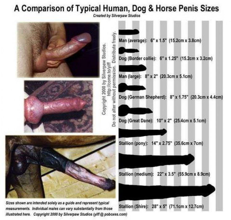 9bec28e0-5ed4-11ed-b4ef-dde208e1fa18