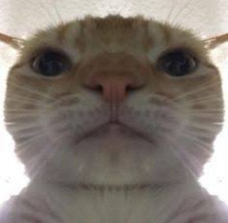 b0b47cf0-7e95-11ed-a163-252b02df20c0