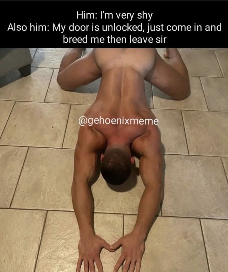 afbbf260-8af8-11ed-bd7f-81c1f4890455