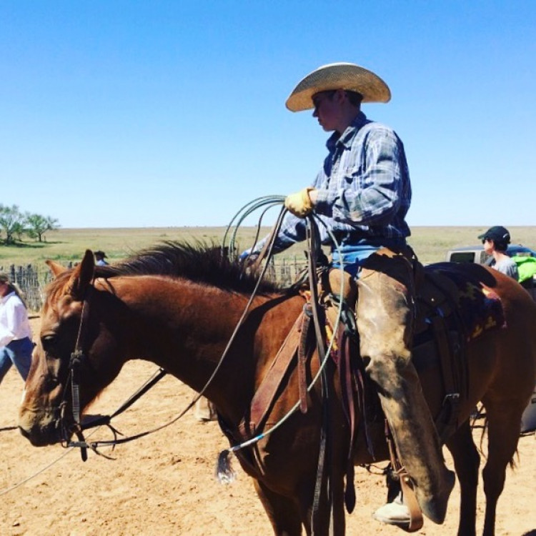 7927d680-9451-11ed-b081-2dd14d50729e