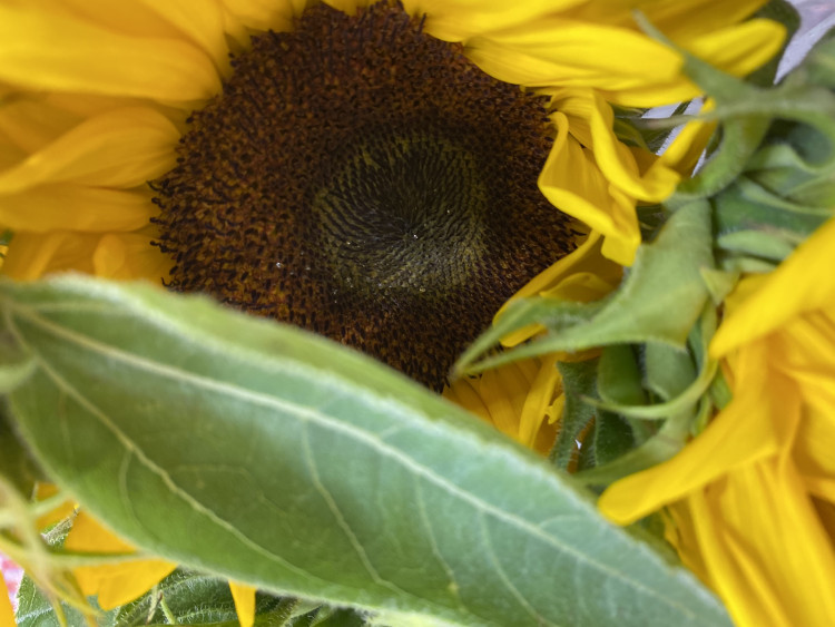 e606e9e0-a40f-11ed-bc95-6d12244720e6