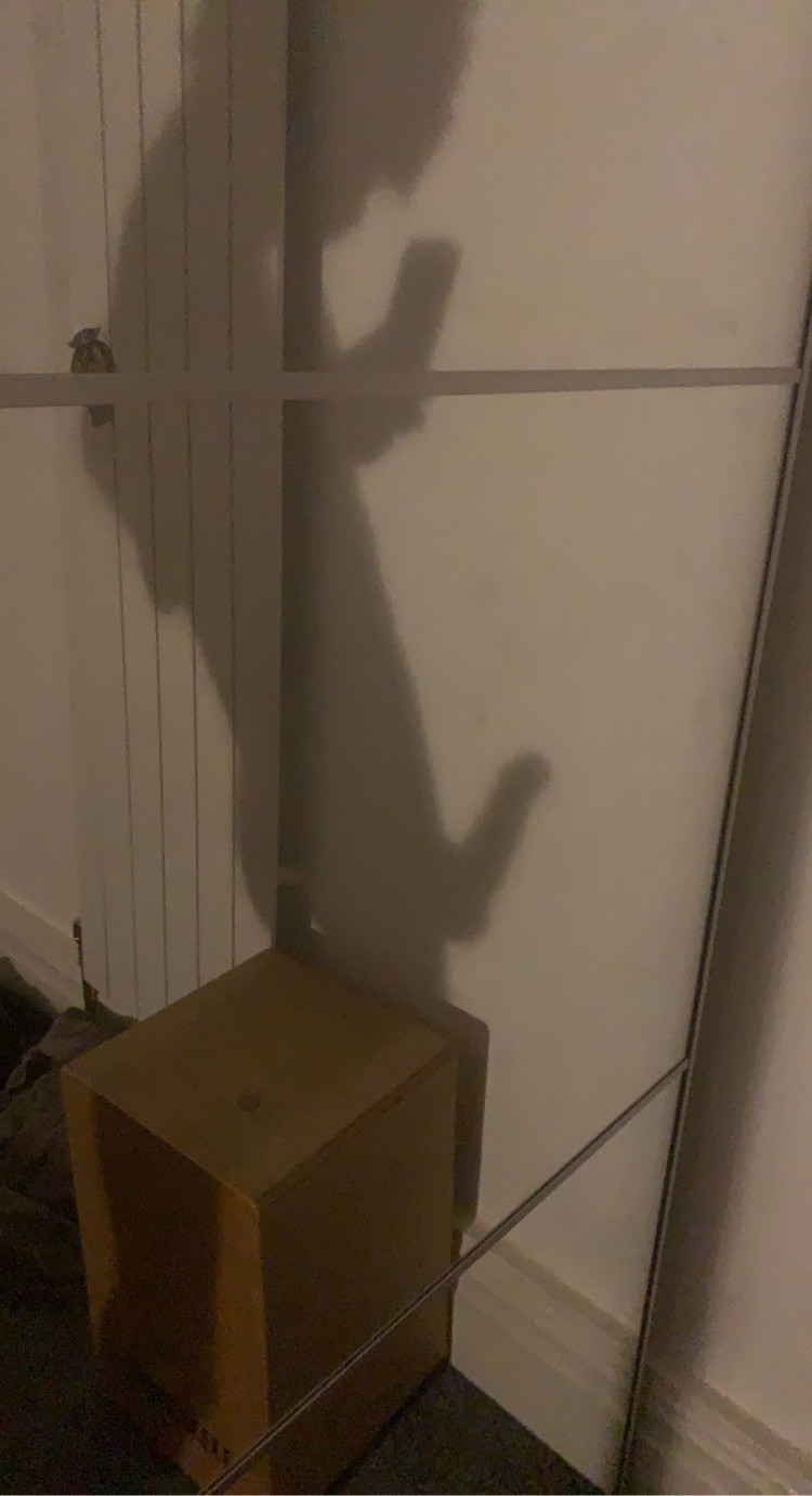 06a48b40-ac1a-11ed-9b9a-019e21194ee9