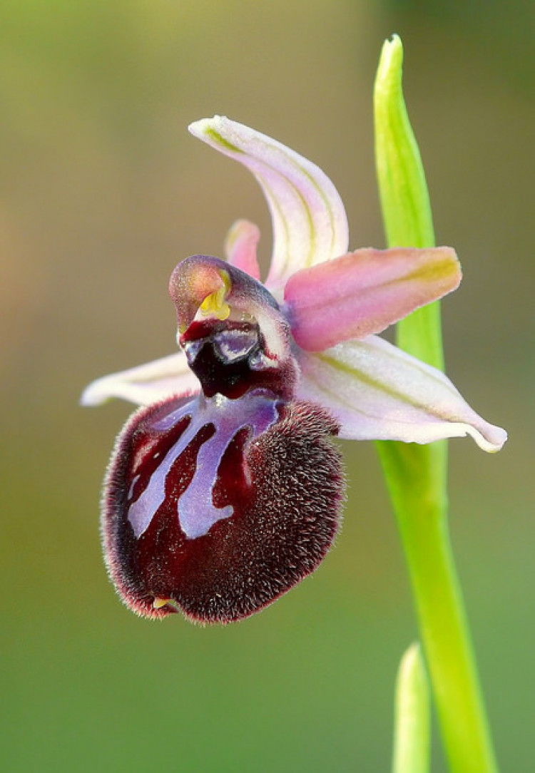 532c0460-b0e1-11ed-82fa-5b2d68e732e3