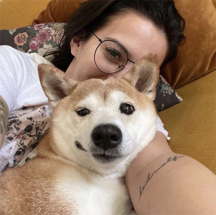 56f06850-bae7-11ed-b210-fd6cc46ed010