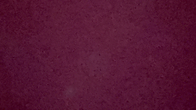 3ca55280-c0bb-11ed-929d-81f474af9f0b