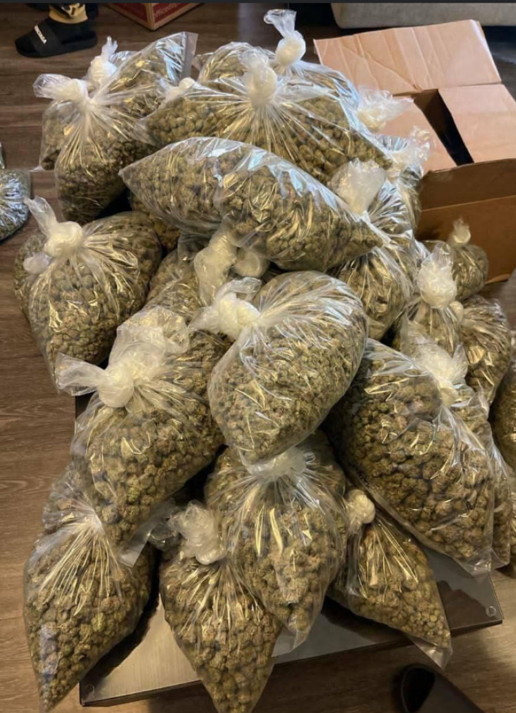 4dbea540-c514-11ed-a49c-9be9a94cf6be