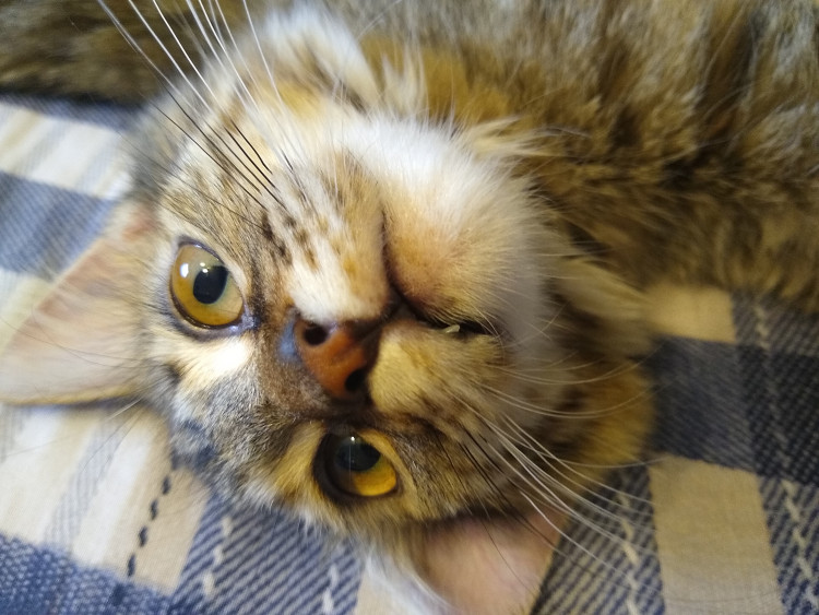 7725b6e0-d6b1-11ed-8d74-9b2208acab56