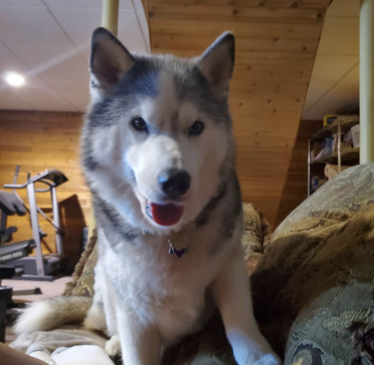 62032a40-d726-11ed-abb2-65e567674979