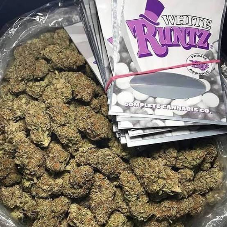 204b4600-d8b7-11ed-baa8-8b1afe2b31c8