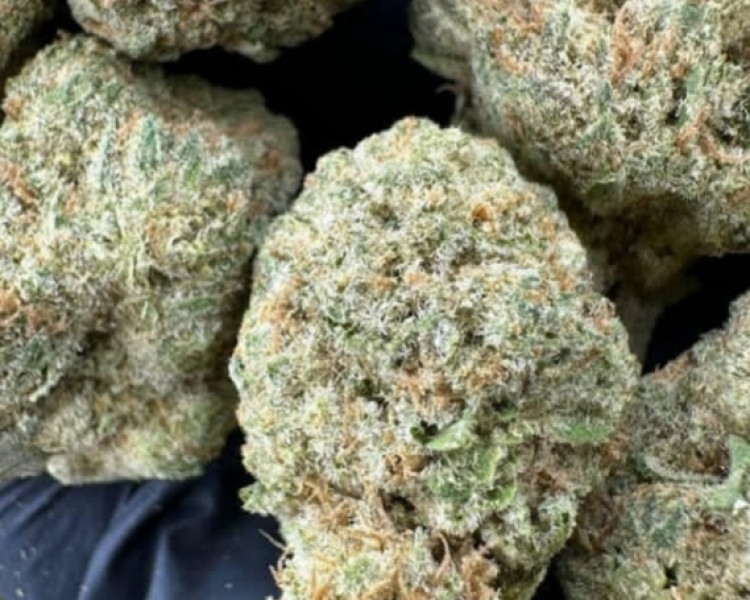 ccf90cc0-4dd8-11ee-a271-715add90bb73