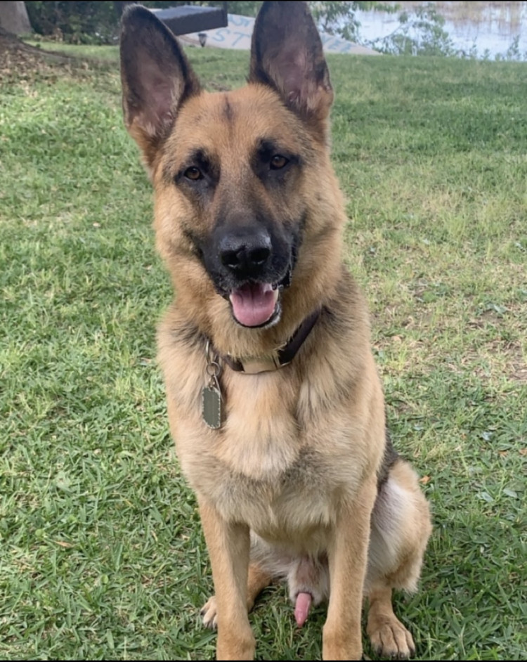 f96f4940-0615-11ee-840a-ddd6ea3083d2