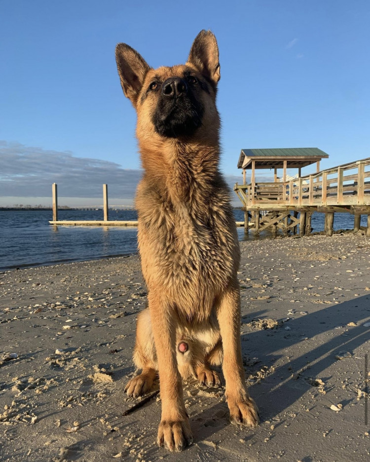 ff7c2190-0615-11ee-b3d2-6f7514e402f5