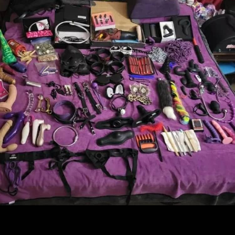 4a18cb50-0e71-11ee-8e76-49ef7380d103