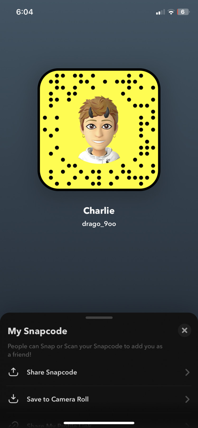 f912ec20-10bf-11ee-a096-9bfdcb5a494f