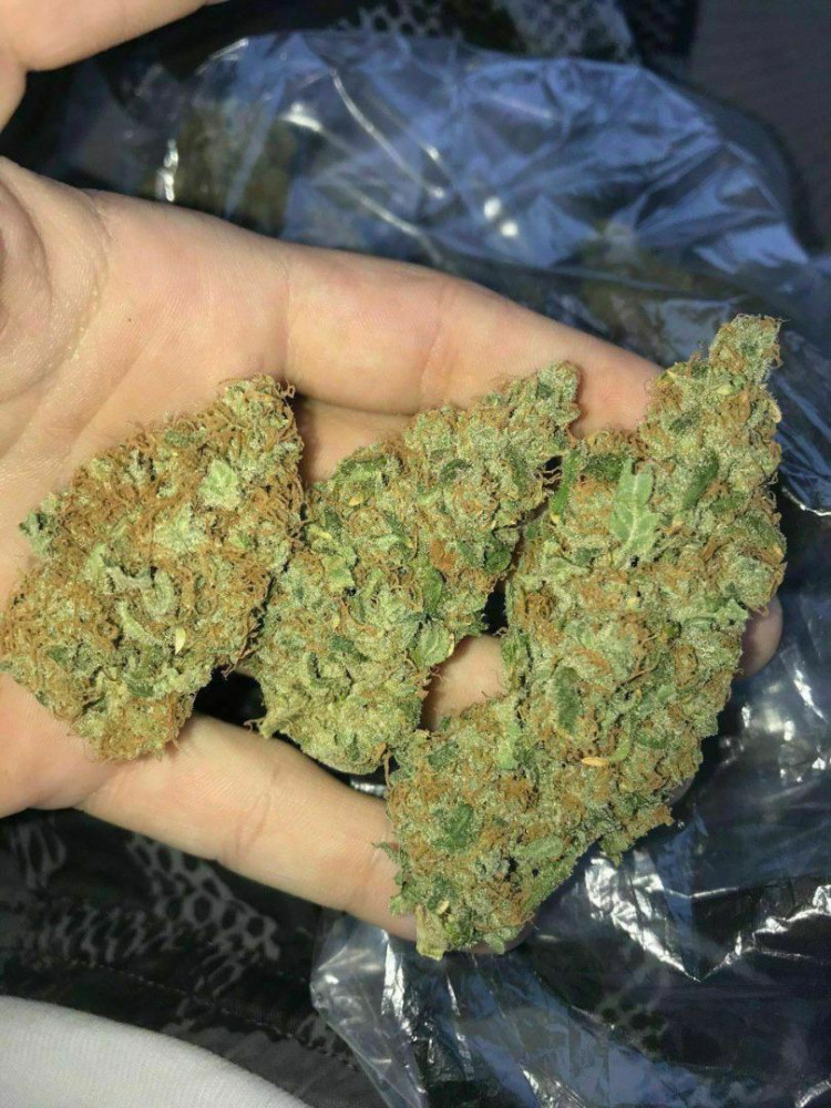 4d0b45d0-178e-11ee-9536-f37153ce484d