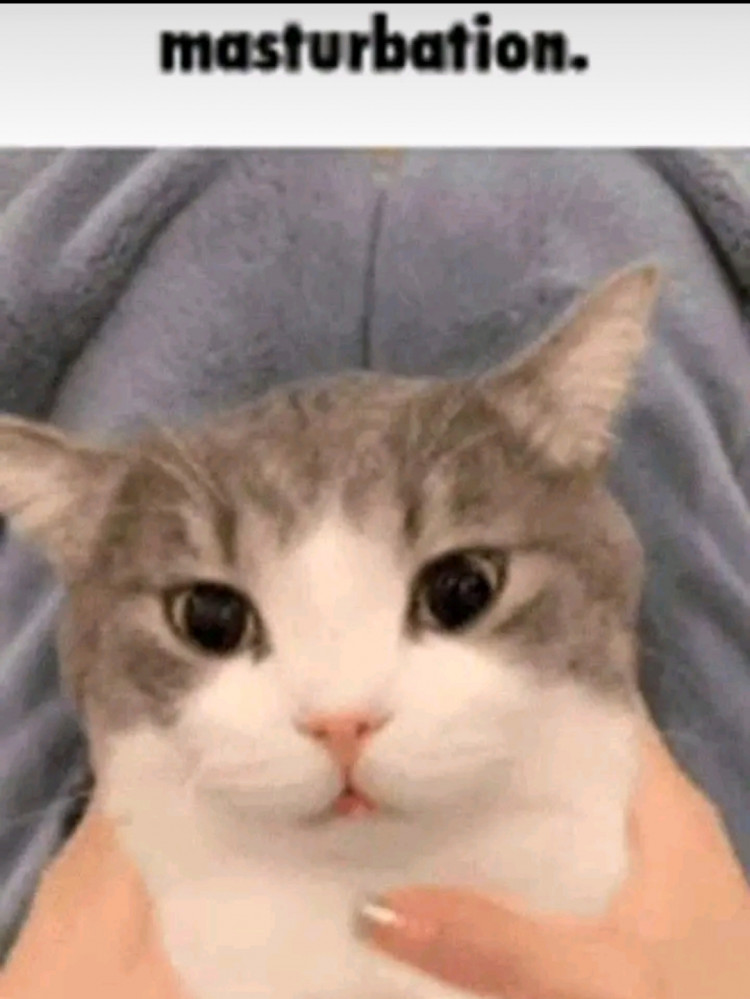 f5310c20-1865-11ee-b543-bd9ca053637d