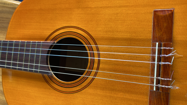 66bb5ca0-1f6e-11ee-b6c2-e952a3273765