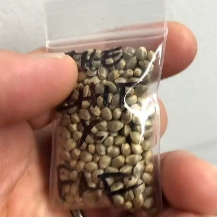 f92958e0-280f-11ee-8ebe-2f0b79230871