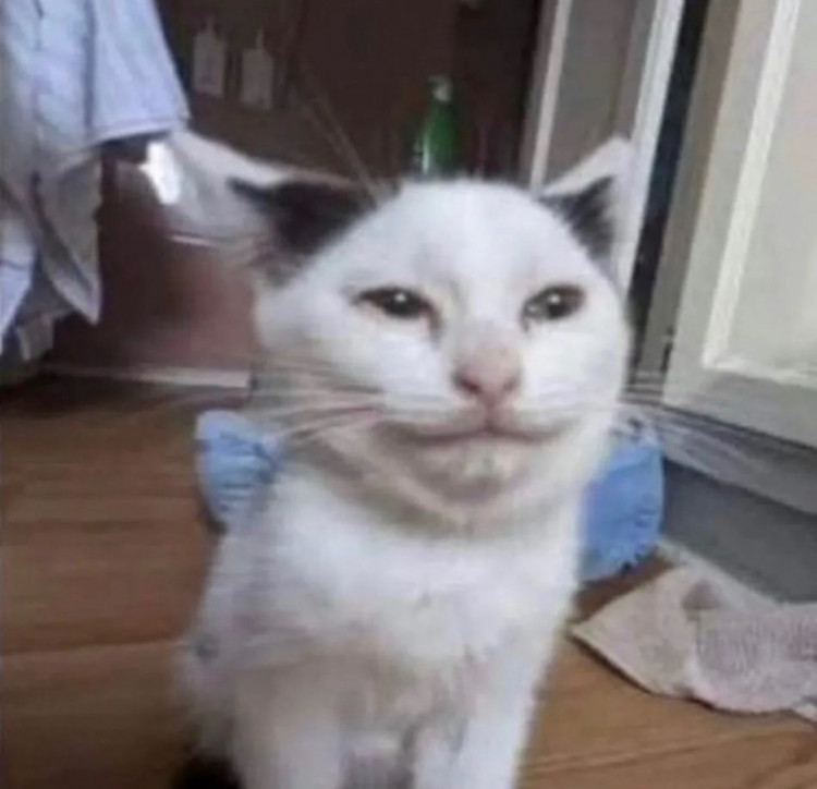 c6510e80-2c43-11ee-80ff-5998473a518b