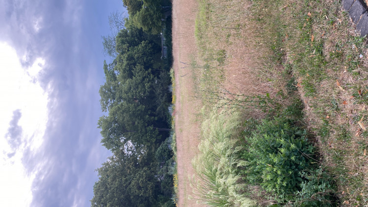 1bf9c550-2c93-11ee-9194-a966f3c1409a