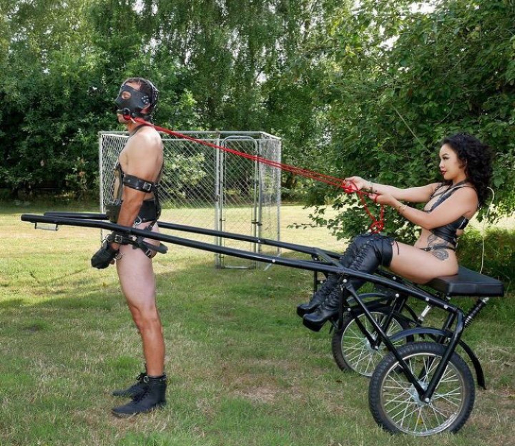 b03e2d60-3565-11ee-9f43-c74c2dbb6123