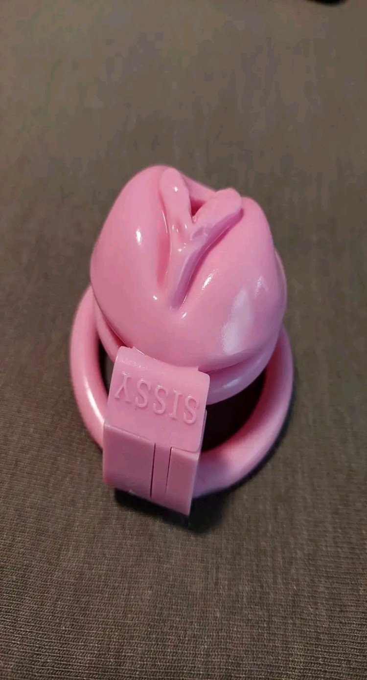 40859a30-3c2f-11ee-a1b3-11010559a651