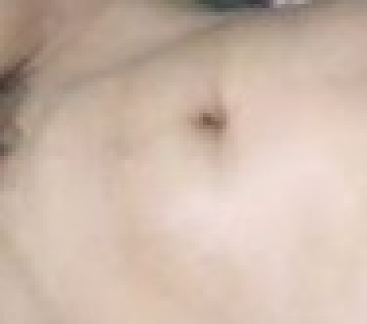 01e05fc0-3cfa-11ee-8d6b-c32769f8cb50