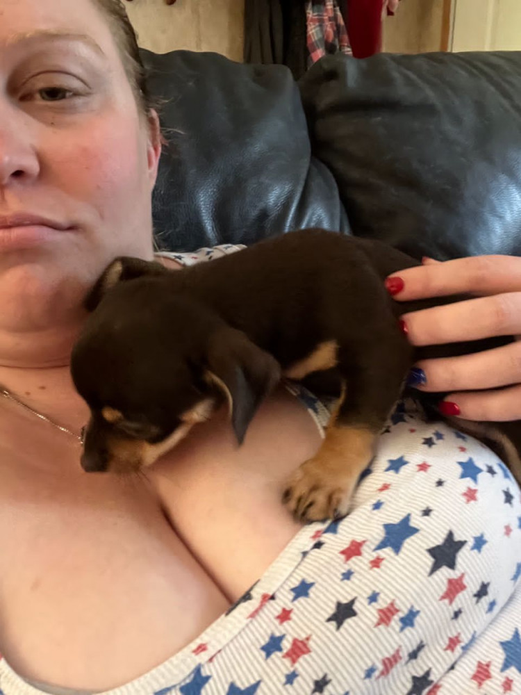 66baa830-4792-11ee-8f6e-3bc8a4c0caf2