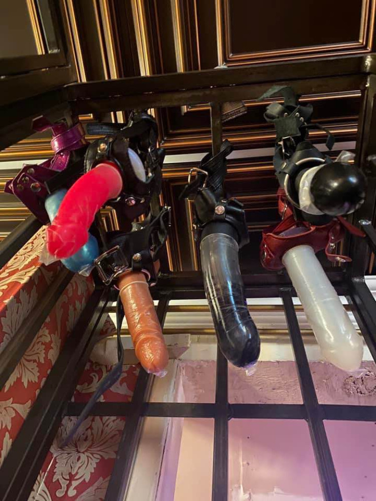 aab5d7d0-4db3-11ee-8f86-6110fa571d80