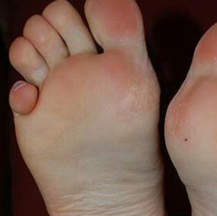 b6da9da0-4ee1-11ee-93cb-cf04ccdd13fd