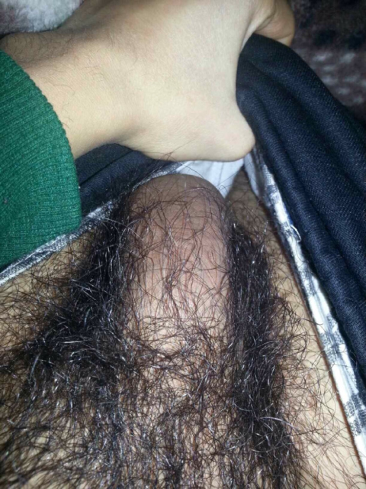 6744fa70-5003-11ee-90a1-4f6667498b04