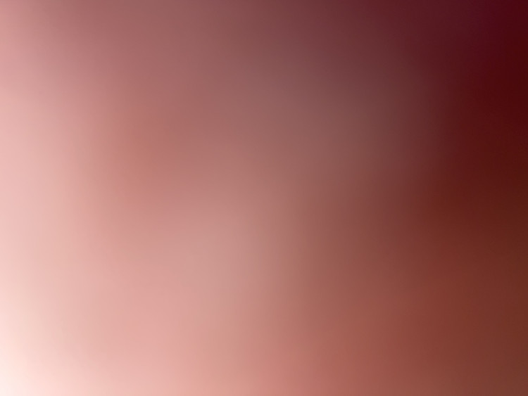 8a2d6a50-241a-11ef-b7de-9124fdc15ff9