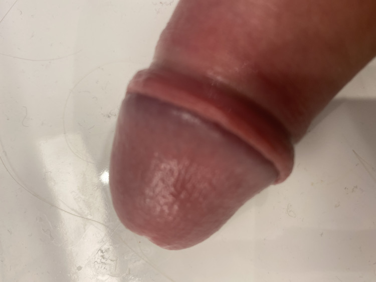 e94e5590-28d1-11ef-9f5d-17e9edd01073