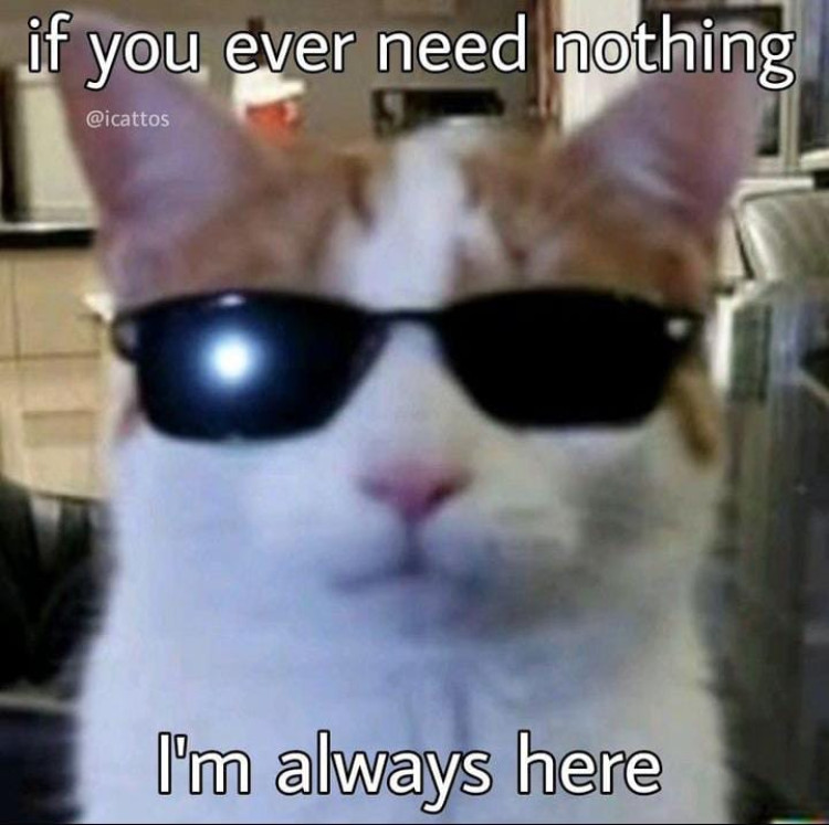 958cc180-2c72-11ef-8690-7dbb3eb37953