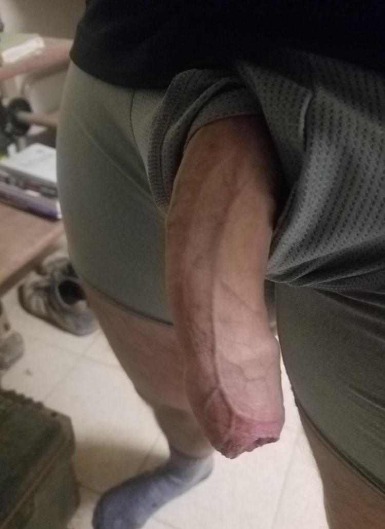 4d0e58f0-5019-11ef-91cf-21450813bcbd