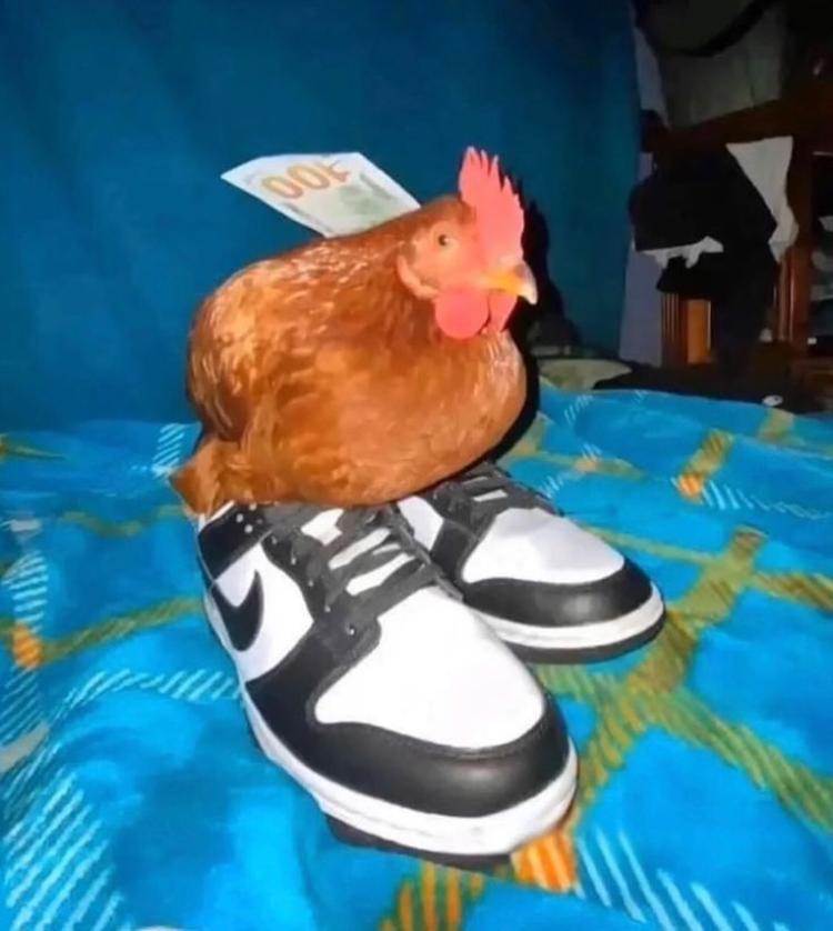 fc931b80-684c-11ef-8785-a929e314968d