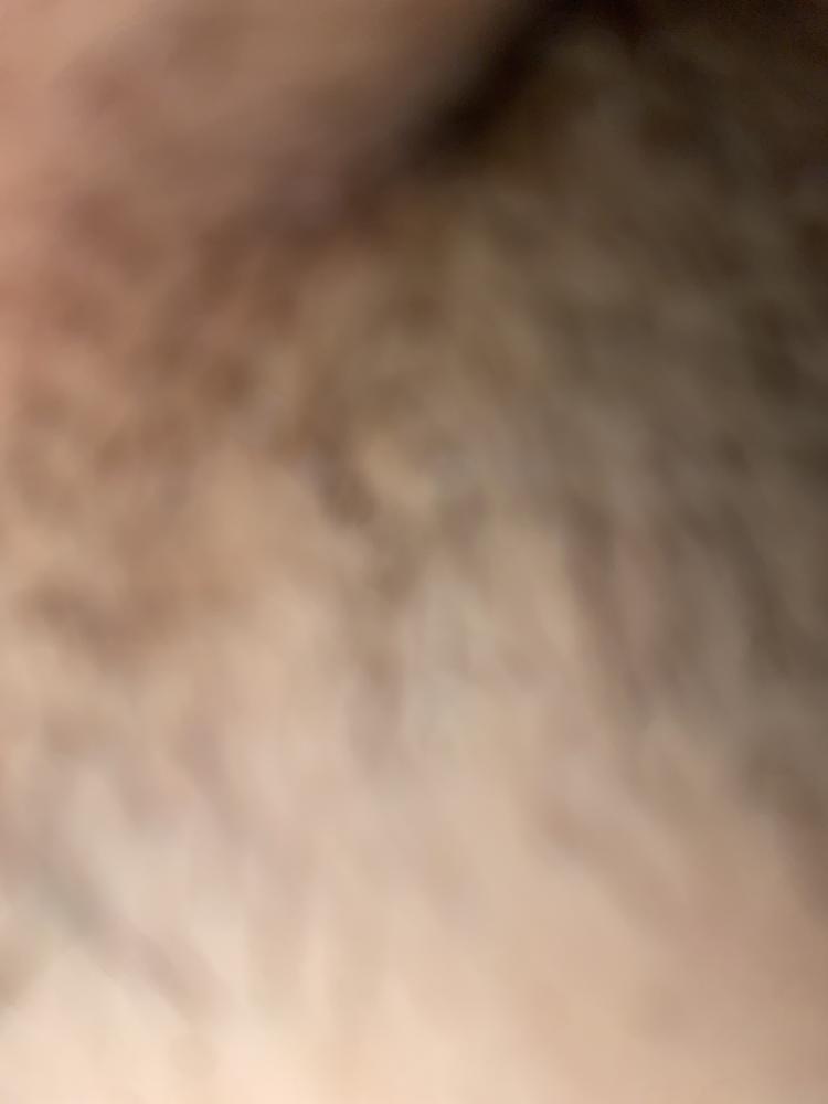 92da1e80-688f-11ef-8e82-e9318722ffc5