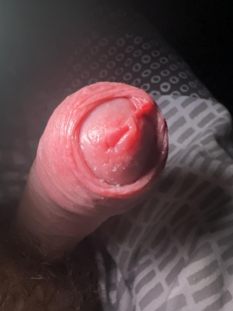 40de2e90-7f7f-11ef-947a-114da05e478a