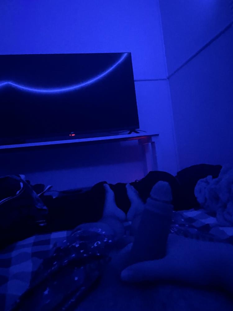 65c66c60-a1cc-11ef-a618-9fc3d2f398e9