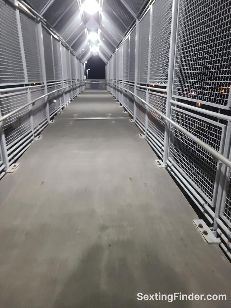 c73eacb0-fe6b-11f0-b87c-83881a8f4723