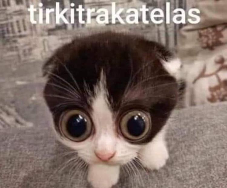 199dddb0-a992-11ef-b327-7dad20587514