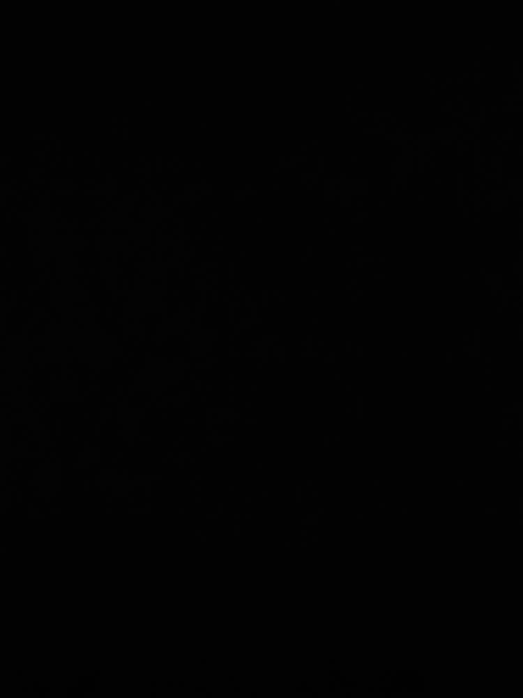 601d25a0-bcb1-11ef-8070-093eb9225047