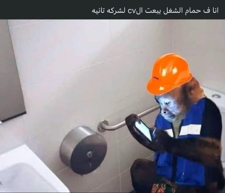 3c4a28a0-bf9d-11ef-a376-f1d3f89e517c