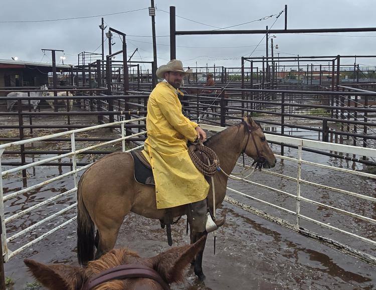 ca52afe0-c394-11ef-9582-dd02d37bde8f